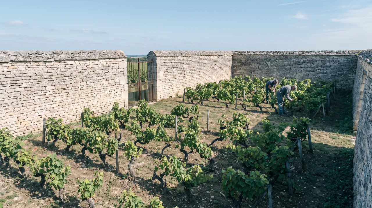 Die Lage Hohe Mauer